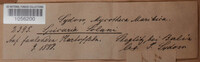 Image Associated With the Occurence